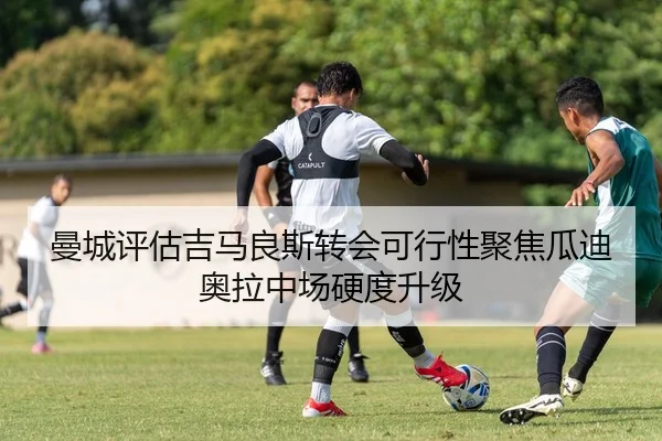 曼城评估吉马良斯转会可行性聚焦瓜迪奥拉中场硬度升级